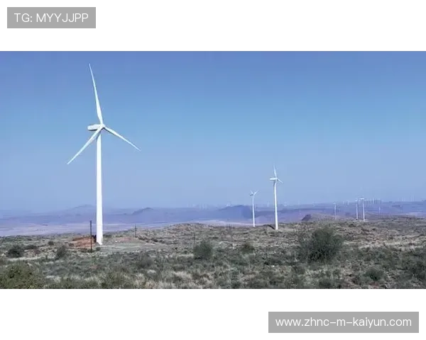 “南非羚羊队的前景广阔：萨尔·巴赫是关键”